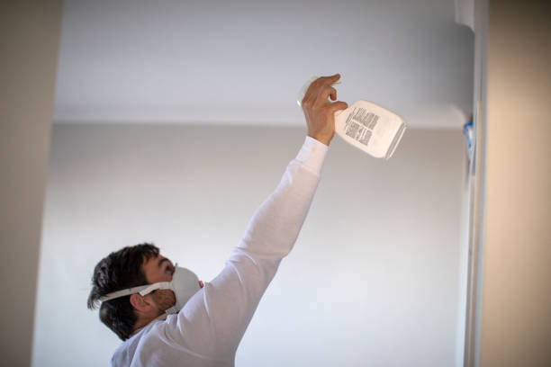 Bellevue, OH Mold Removal Company