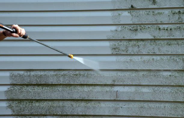 Best Crawl Space Mold Removal  in Bellevue, OH