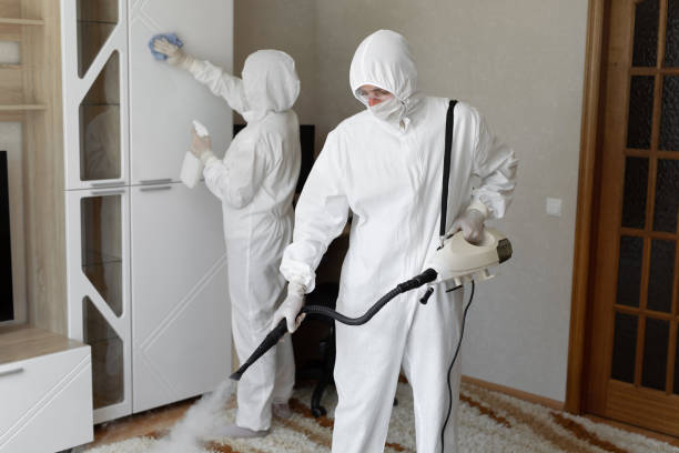 Best Commercial Mold Removal  in Bellevue, OH